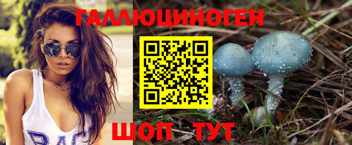 Псилоцибиновые грибы Cubensis Озёрск