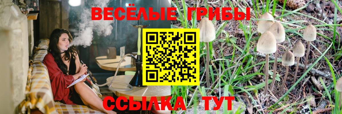 Озёрск  Галлюциногенные грибы ЛСД  Вход с VPN 